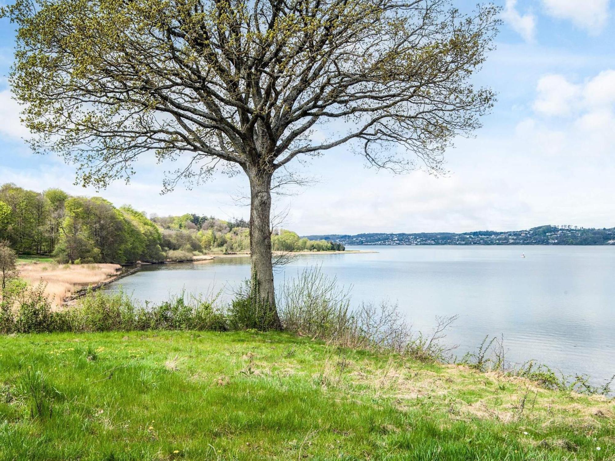 4 Person Holiday Home In B Rkop Børkop Kültér fotó